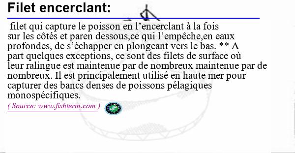 Image :  Définition de filet encerclant