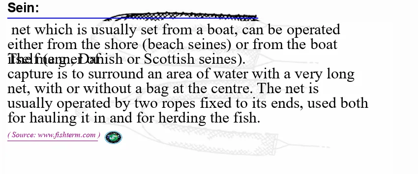 Image: Definition of sein