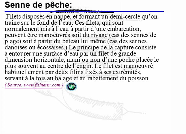 Image :  Définition de senne de pêche