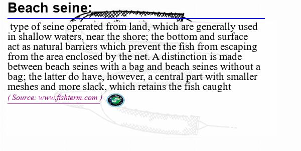 Image: Definition of beach seine