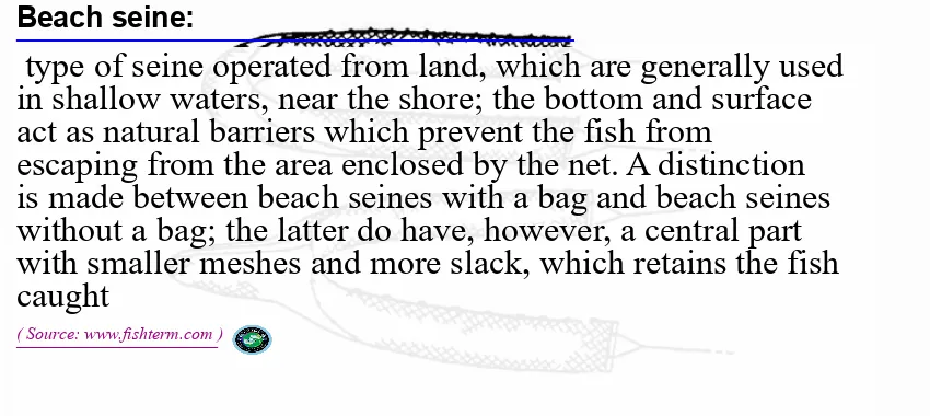 Image: Definition of beach seine