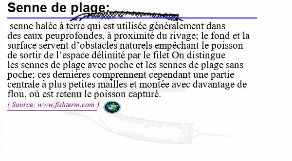 Image :  Définition de senne de plage