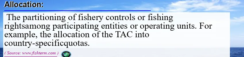 Image: Definition of allocation