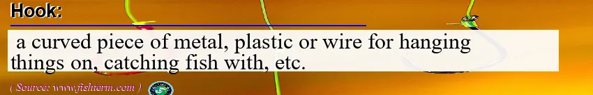 Image: Definition of hook