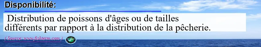 Image: Definition of disponibilité