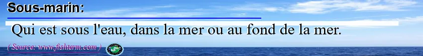 Image: Definition of sous-marin
