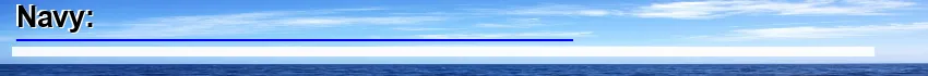 Image: Definition of navy