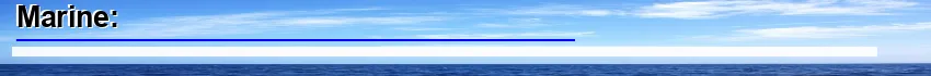 Image: Definition of marine