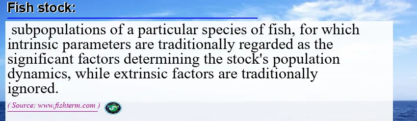 Image: Definition of fish stock