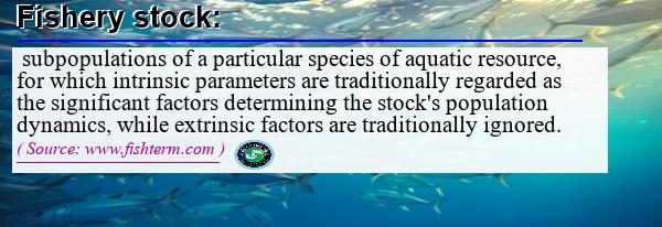 Image: Definition of fishery stock