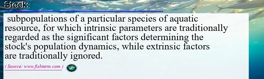 Image: Definition of stock