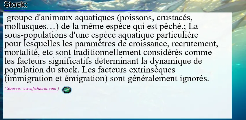 Image: Definition of stock