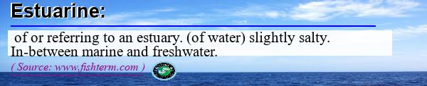 Image: Definition of estuarine