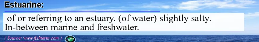 Image: Definition of estuarine