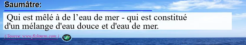 Image: Definition of saumâtre