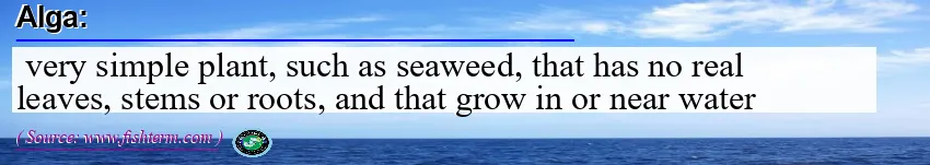 Image: Definition of alga