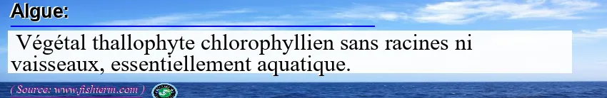 Image: Definition of algue
