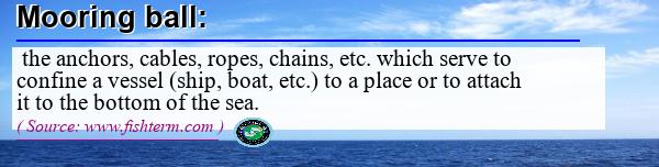 Image: Definition of mooring ball