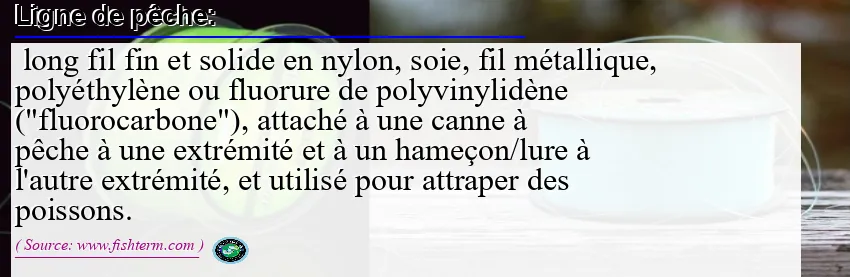 Image: Definition of ligne de pêche