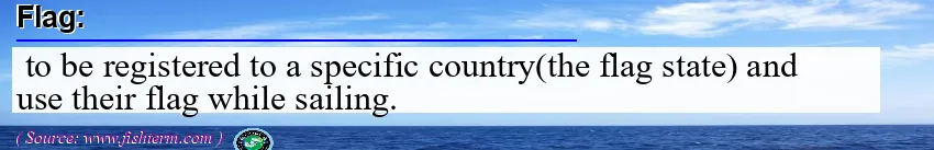 Image: Definition of flag
