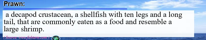Image: Definition of prawn