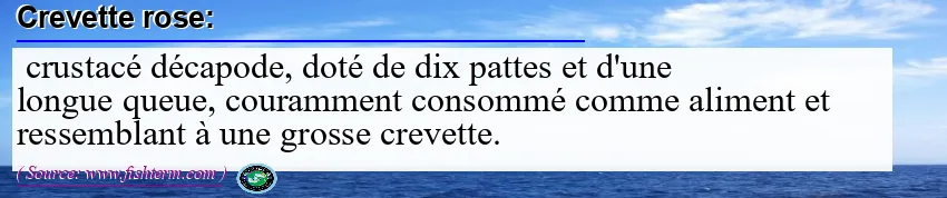 Image: Definition of crevette rose