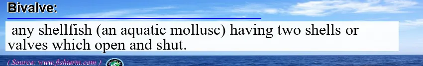 Image: Definition of bivalve