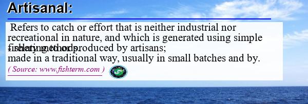 Image: Definition of artisanal