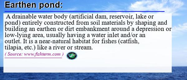 Image: Definition of earthen pond