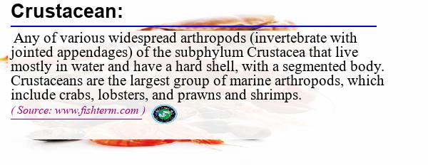 Image: Definition of crustacean