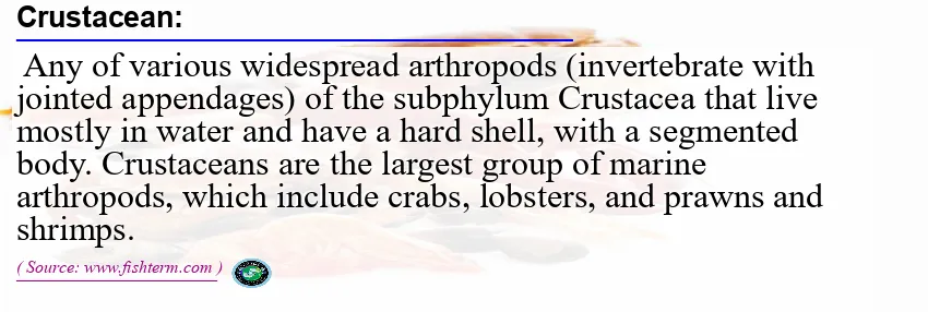 Image: Definition of crustacean