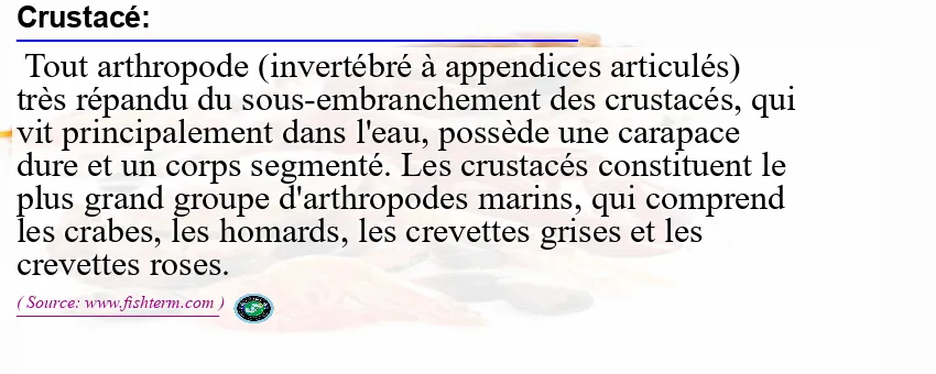 Image: Definition of crustacé