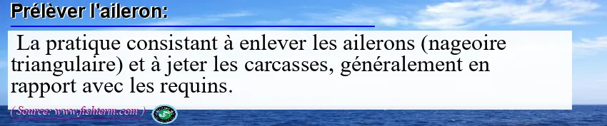 Image: Definition of couper l’aileron
