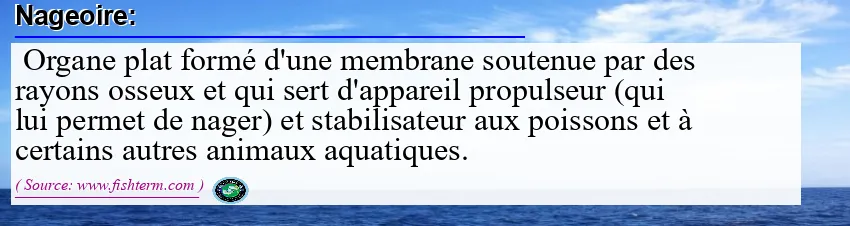 Image: Definition of nageoire