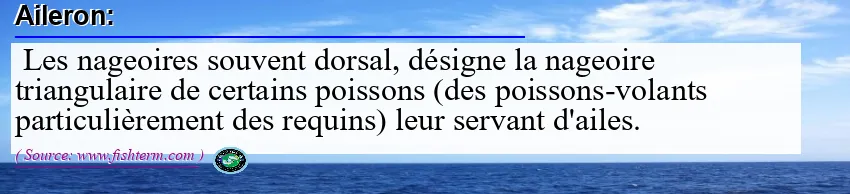 Image: Definition of aileron