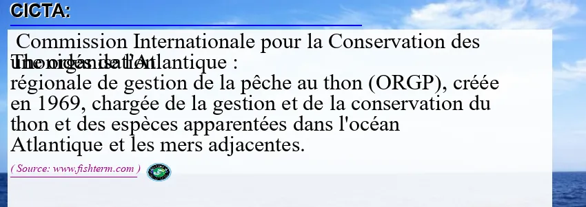 Image: Definition of CICTA