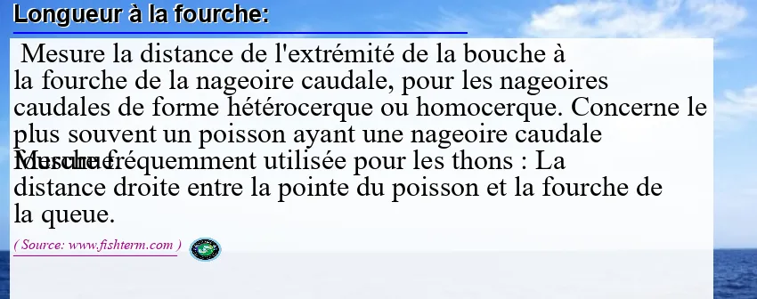 Image: Definition of longueur à la fourche