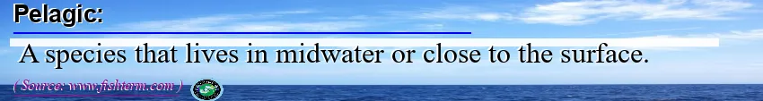 Image: Definition of pelagic