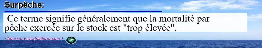 Surpêche