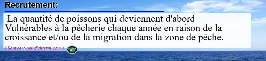 Image: Definition of recrutement