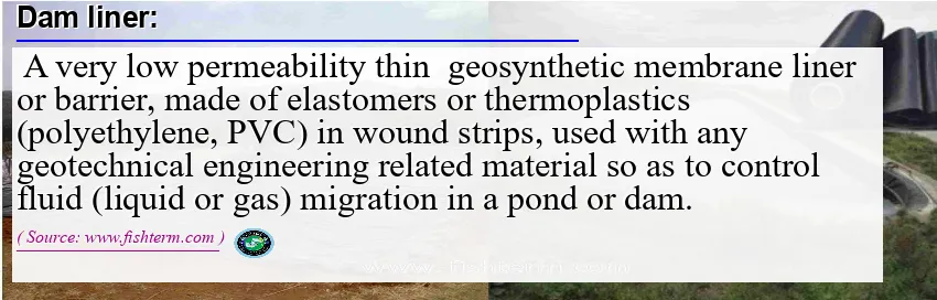 Image: Definition of dam liner