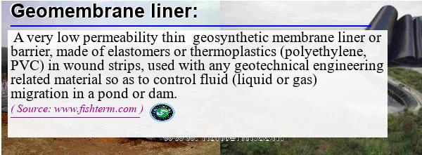 Image: Definition of geomembrane liner