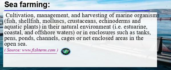 Image: Definition of sea farming