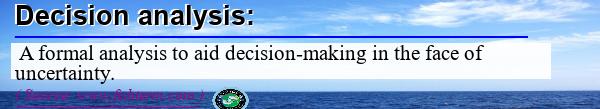 Image: Definition of decision analysis