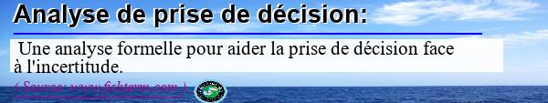 Image :  Définition de l'analyse de prise de décision