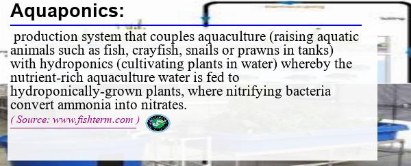 Image: Definition of aquaponics