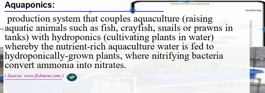 Image: Definition of aquaponics