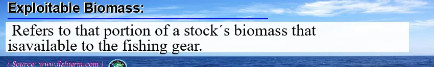Image: Definition of exploitable biomass