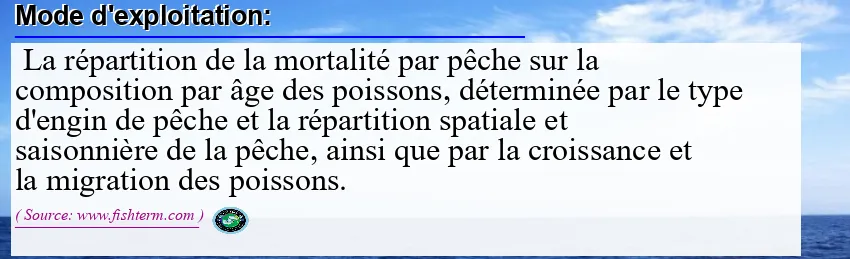 Mode d'exploitation