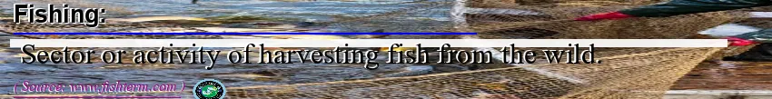 Image: Definition of fishing